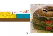 Micro atoll Micro atoll