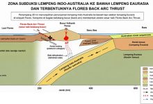 flores back arc thrust model_web