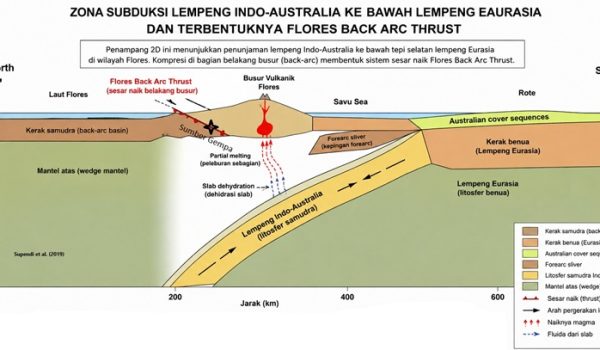 Gempa NTT Agustus 2026: Sesar Mana yang Bertanggung Jawab?