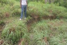scarp di bukit badak uken_small