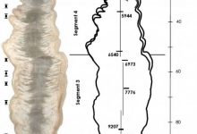 stalagmit-untuk-iklim-purba