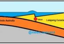 tsunami 2004_profile small tsunami 2004_profile small