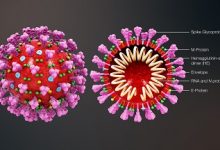 virus corona