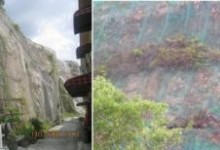 wirenett di malaysia